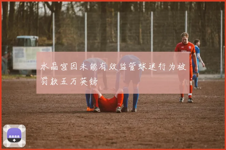 水晶宫因未能有效监管球迷行为被罚款五万英镑