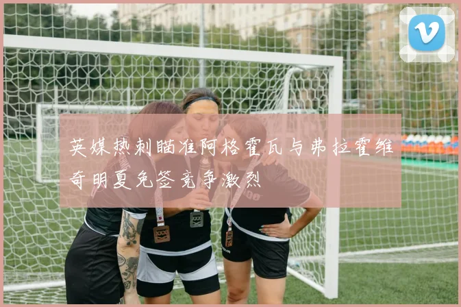 英媒热刺瞄准阿格霍瓦与弗拉霍维奇明夏免签竞争激烈