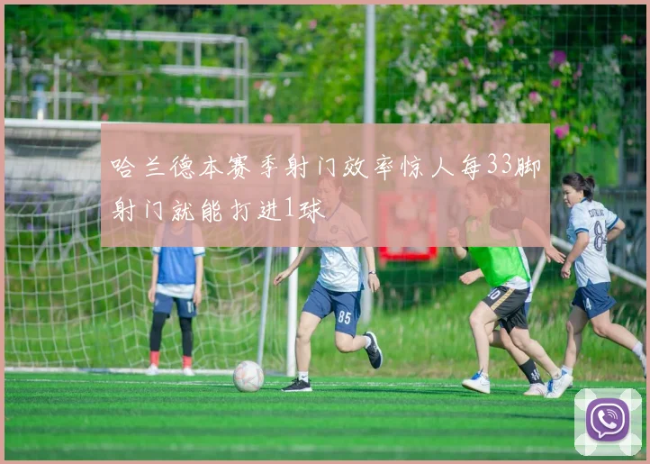 哈兰德本赛季射门效率惊人每33脚射门就能打进1球