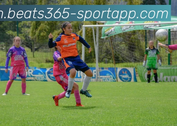 beats365体育平台生态图