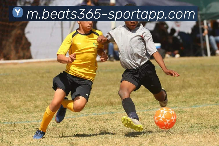 beats365体育APP 封面图